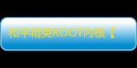 和平精英ROOT内核【晚安单透】外挂